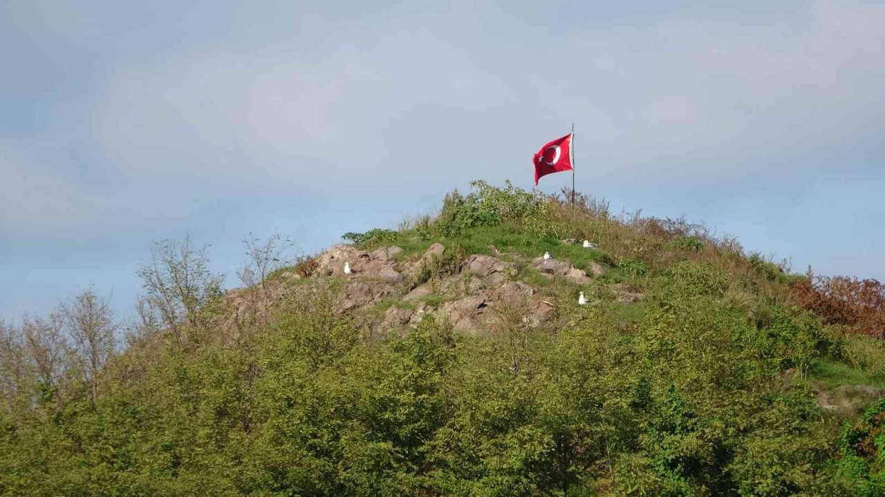 Ordu’nun kuş cenneti: Hoynat Adası