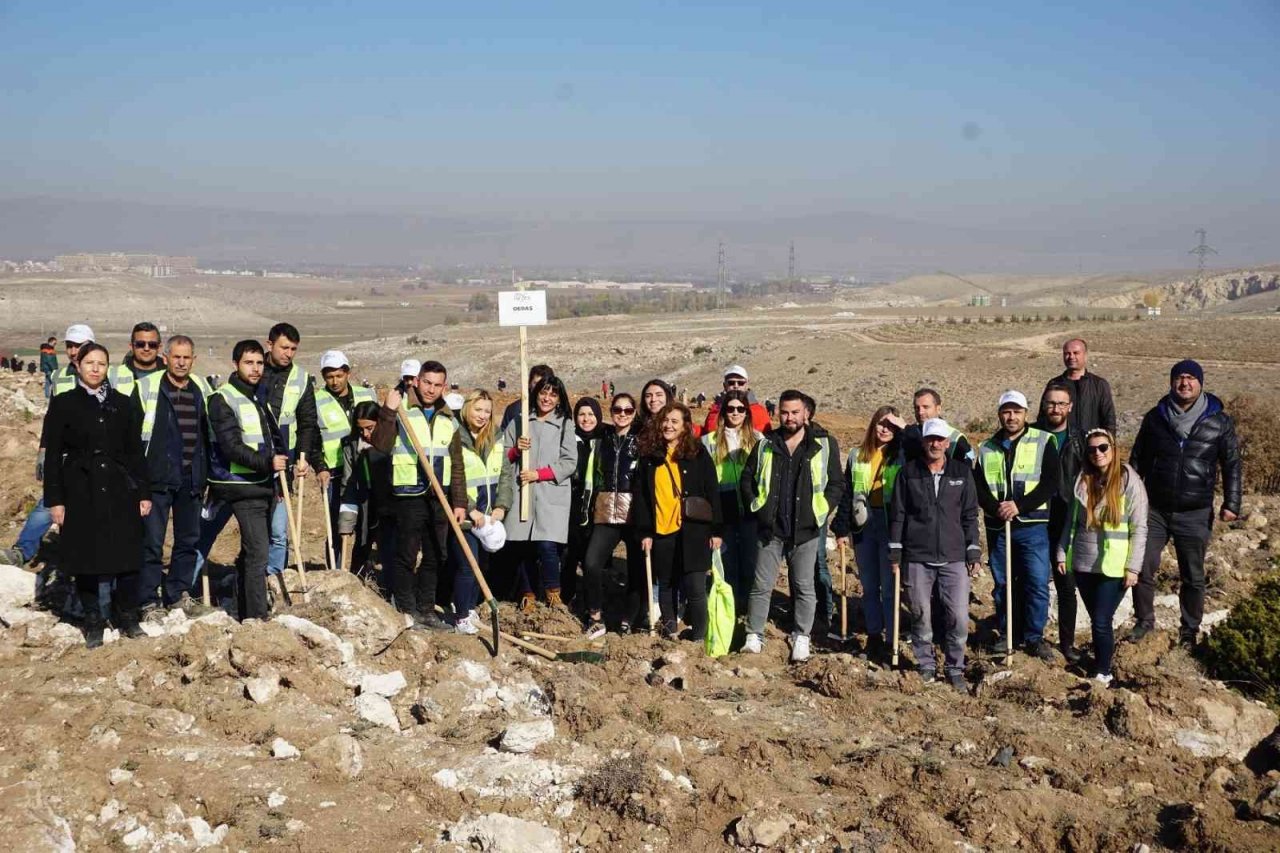 Enerji Çalışanları Haftası’nı fidan dikerek kutladılar