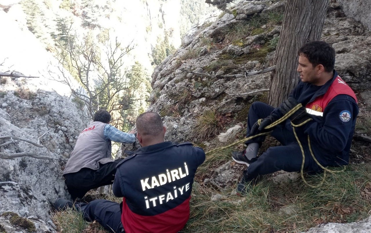 Kayalıklarda mahsur kalan 7 keçi kurtarıldı