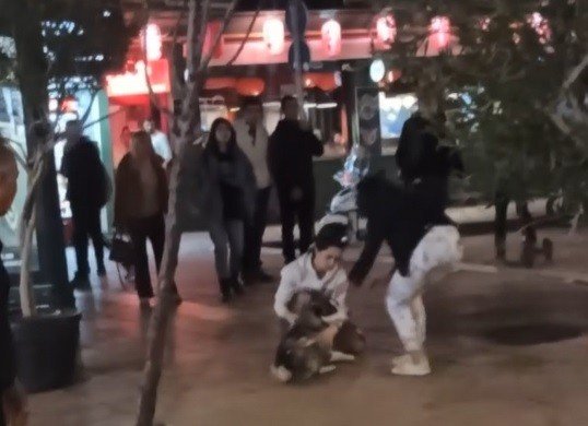 Köpeğe tekme atan şahsa meydan dayağı