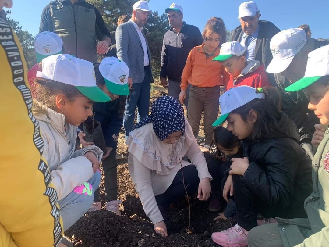 Tohumlar fidana, fidanlar Seyitgazi’ye