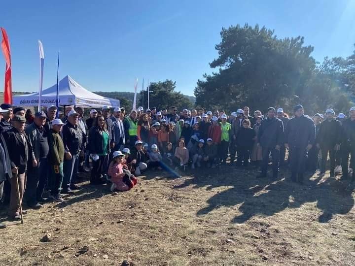 Tohumlar fidana, fidanlar Seyitgazi’ye