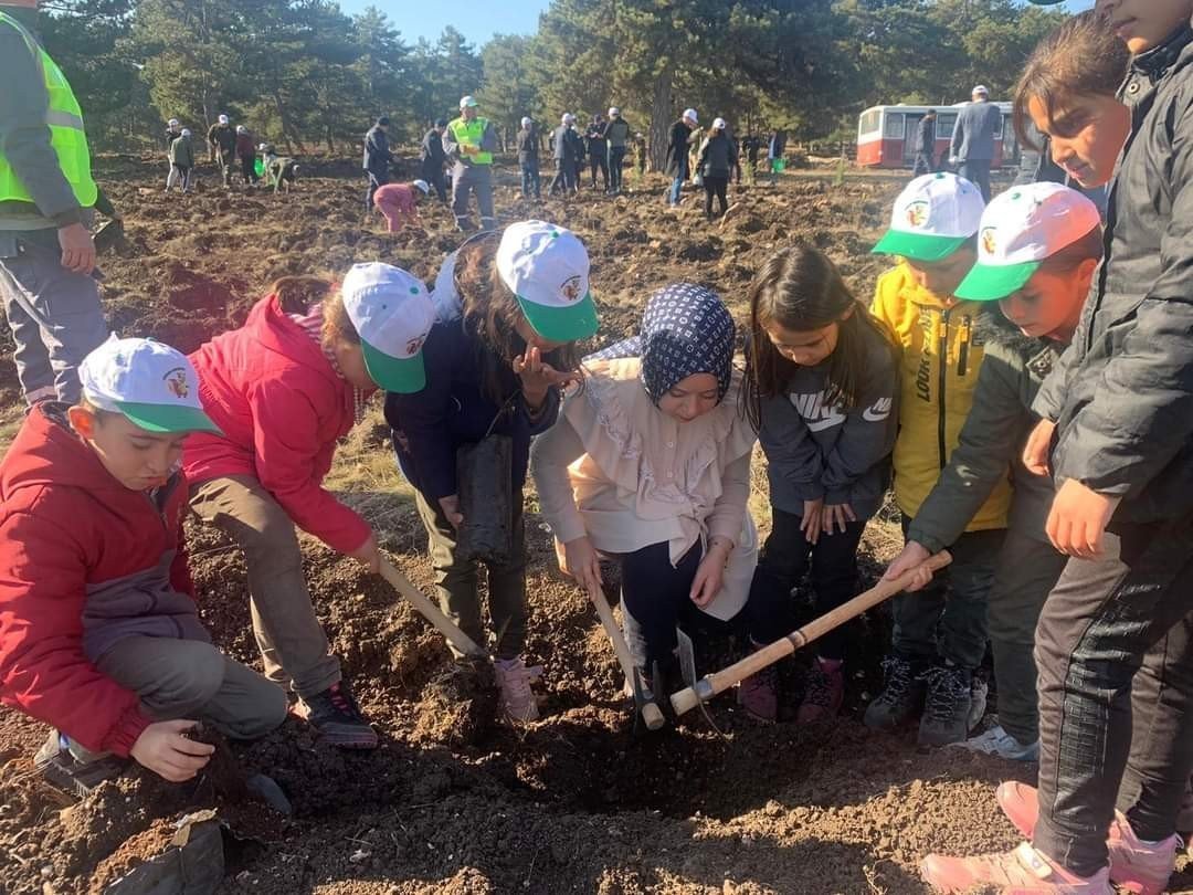 Tohumlar fidana, fidanlar Seyitgazi’ye