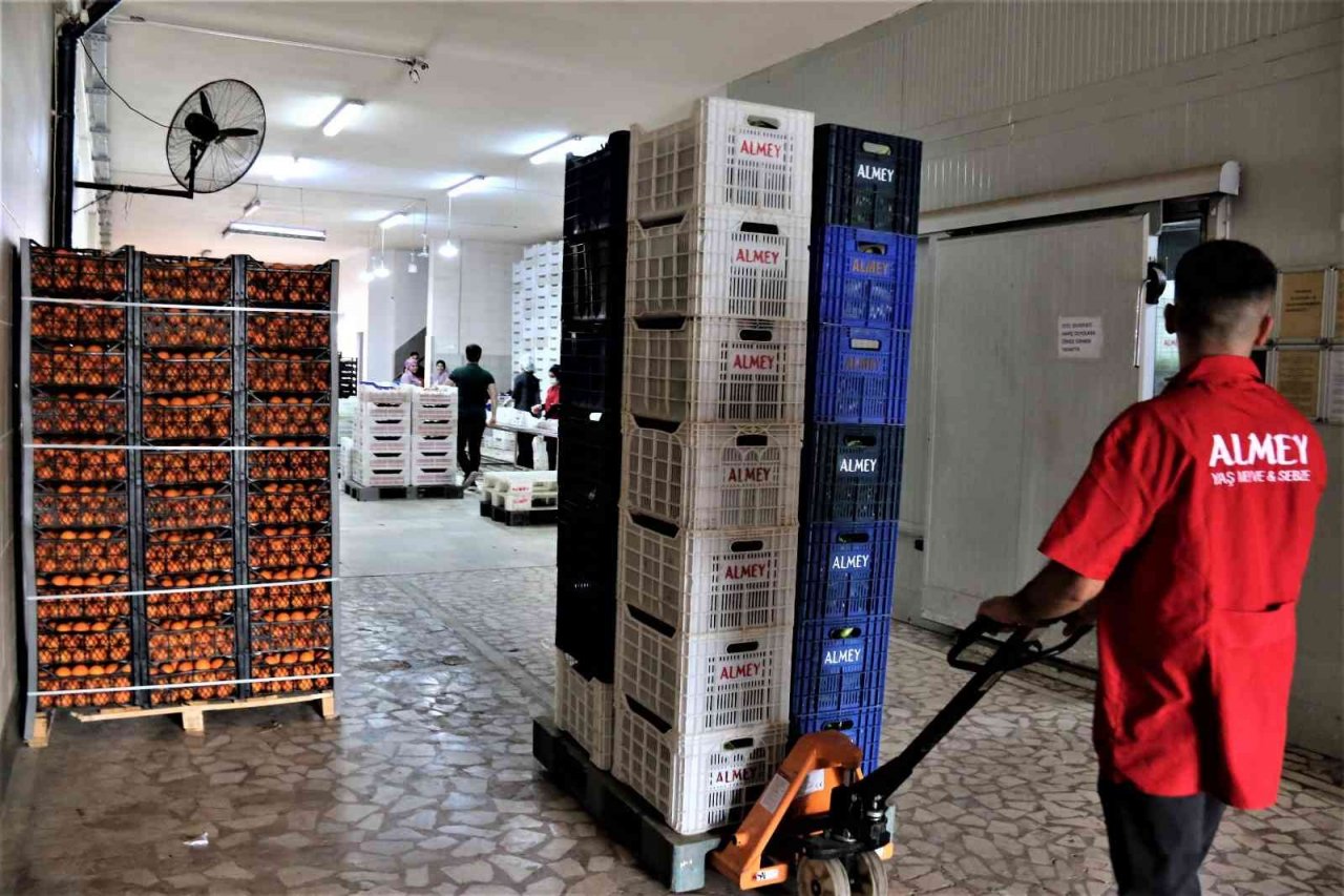 Batı Akdeniz’den 2 milyar 200 milyon dolarlık ihracat