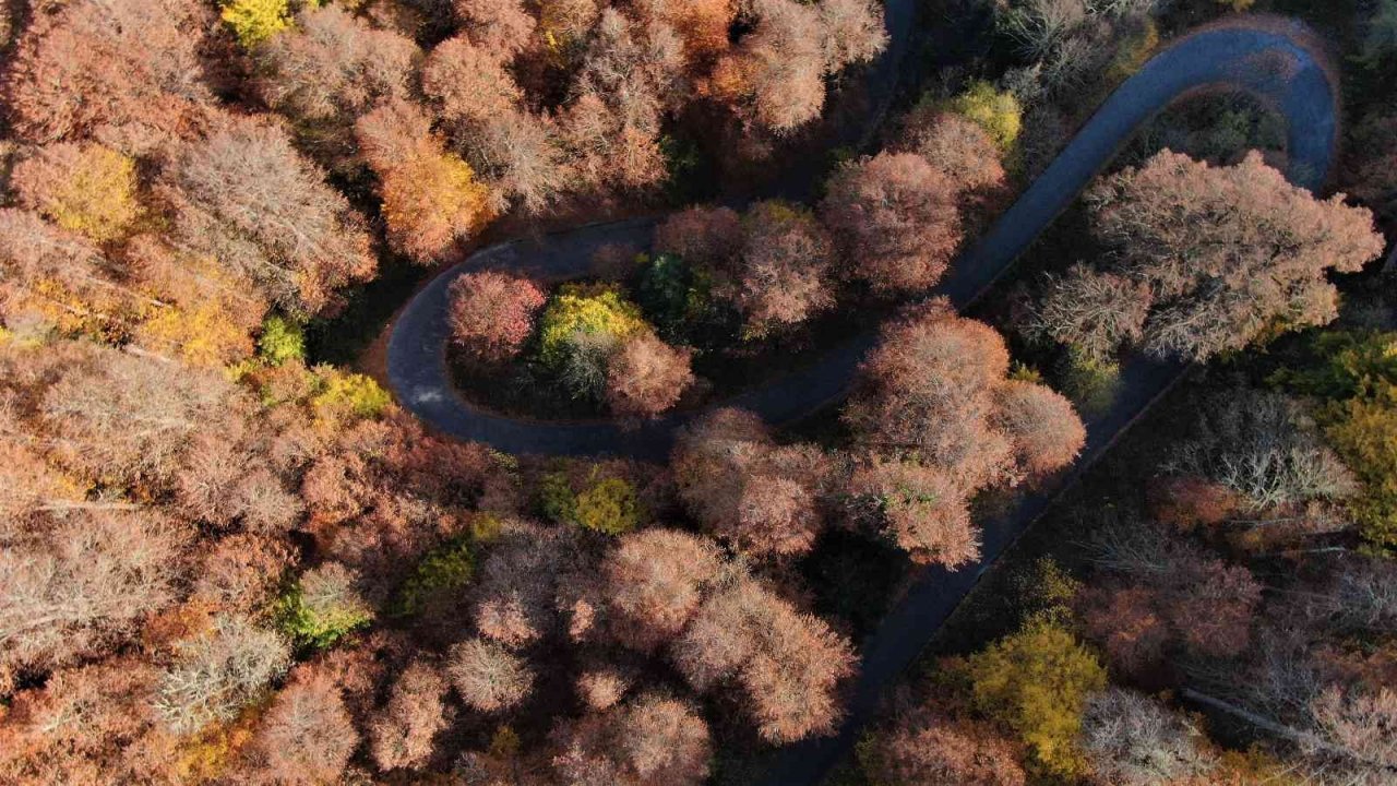 Yedigöller’de sonbahar kartpostallık görüntüler oluşturdu