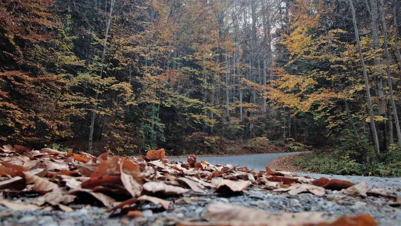 Yedigöller’de sonbahar kartpostallık görüntüler oluşturdu