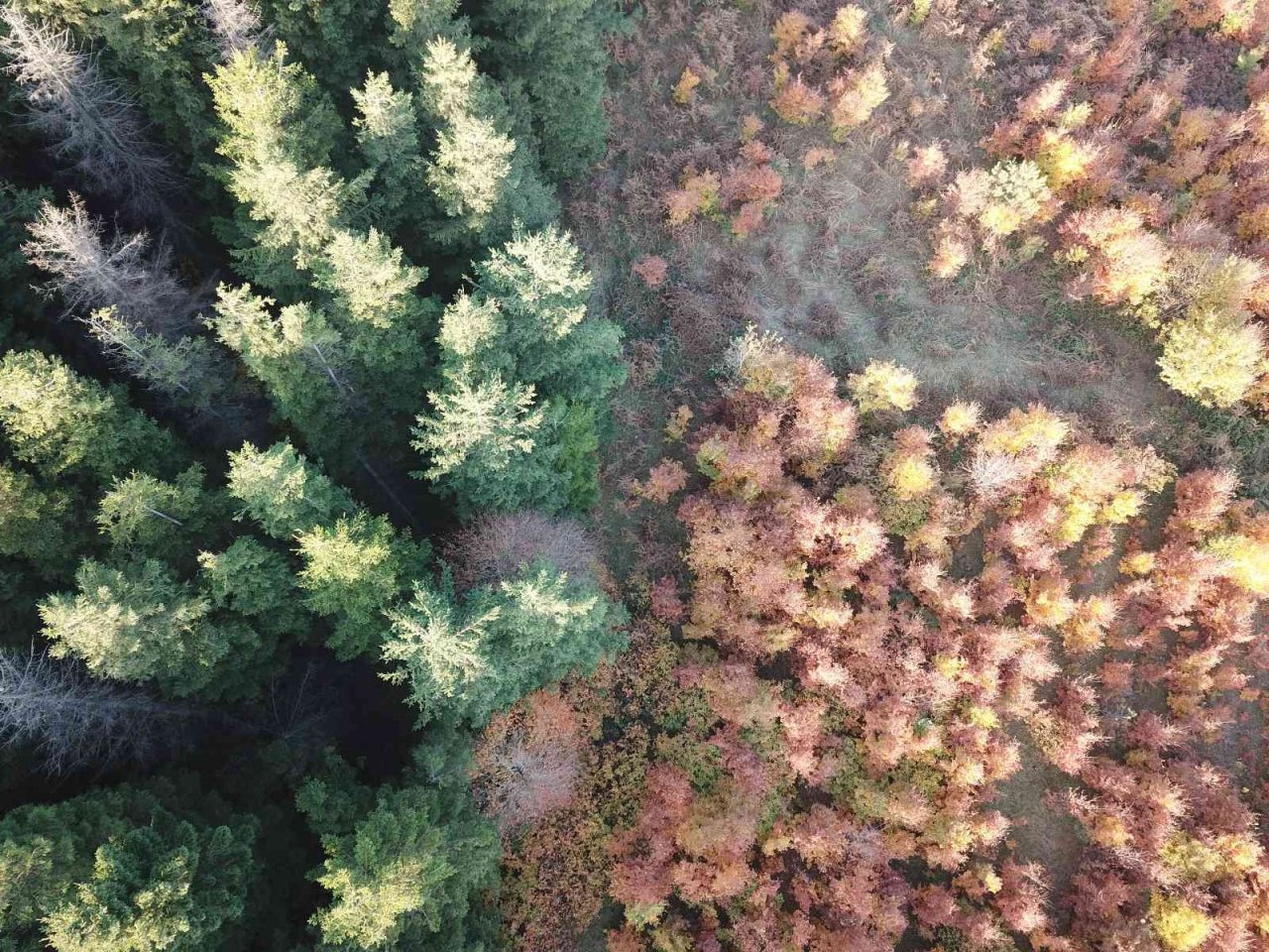 Perşembe Yaylası’nda sonbahar güzelliği