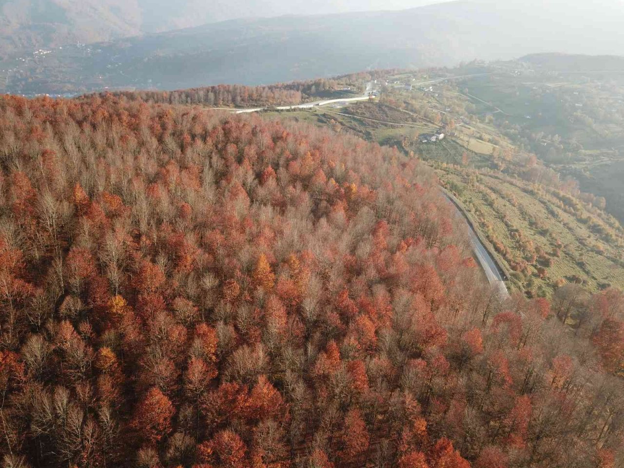 Perşembe Yaylası’nda sonbahar güzelliği