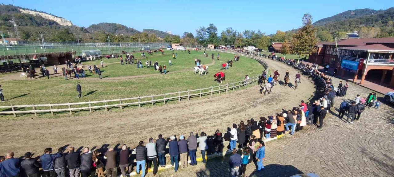 Ordu’da atlar, Ata için koştu