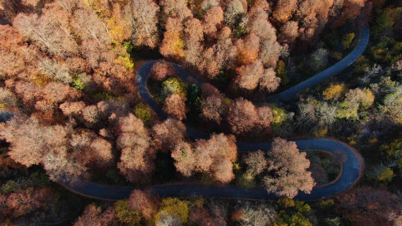Yedigöller’de sonbahar kartpostallık görüntüler oluşturdu
