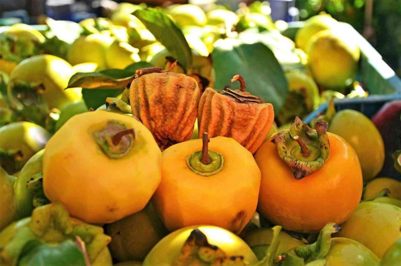 Kurusu yaşından 10 kat daha pahalı