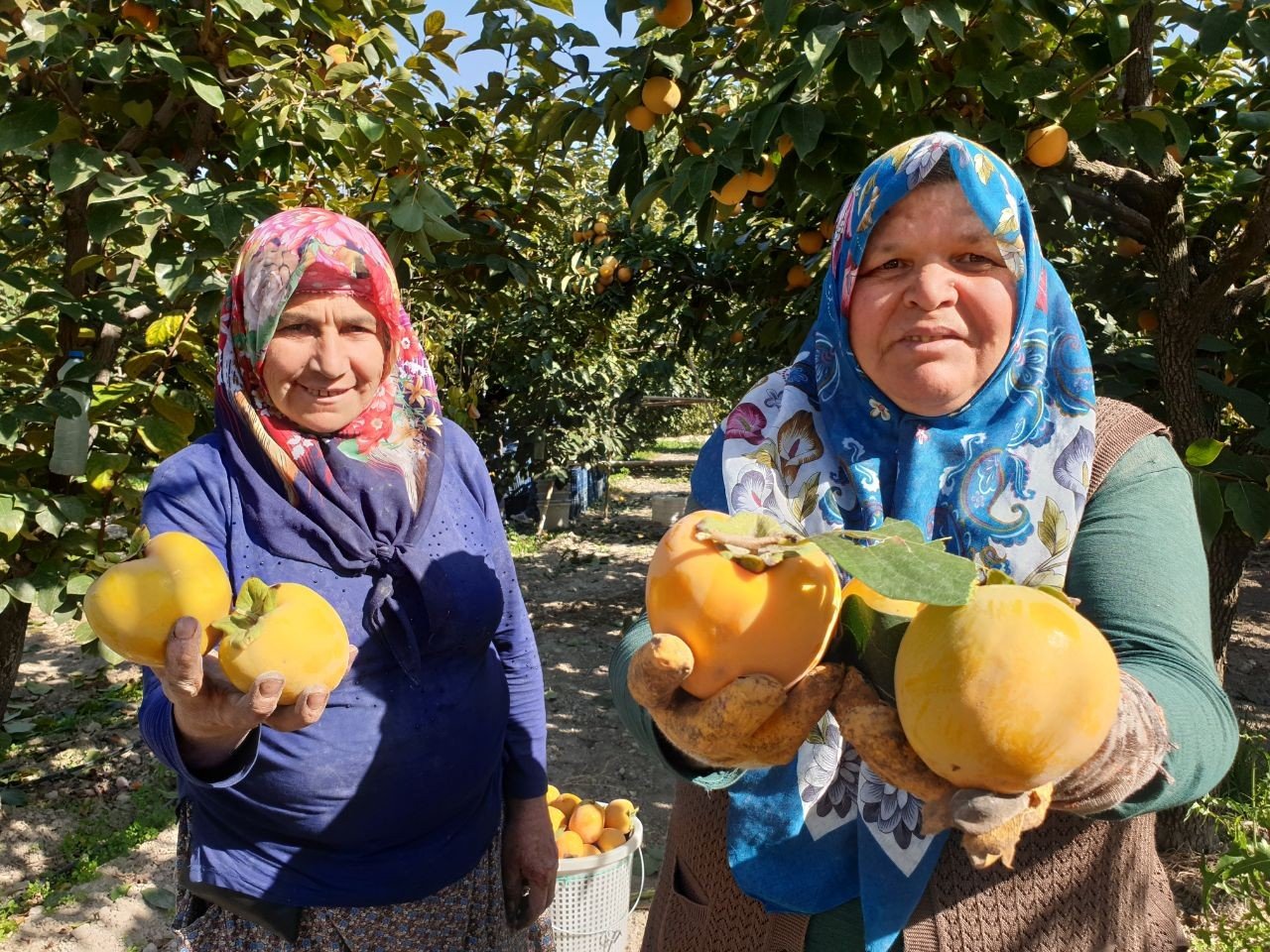 Kurusu yaşından 10 kat daha pahalı