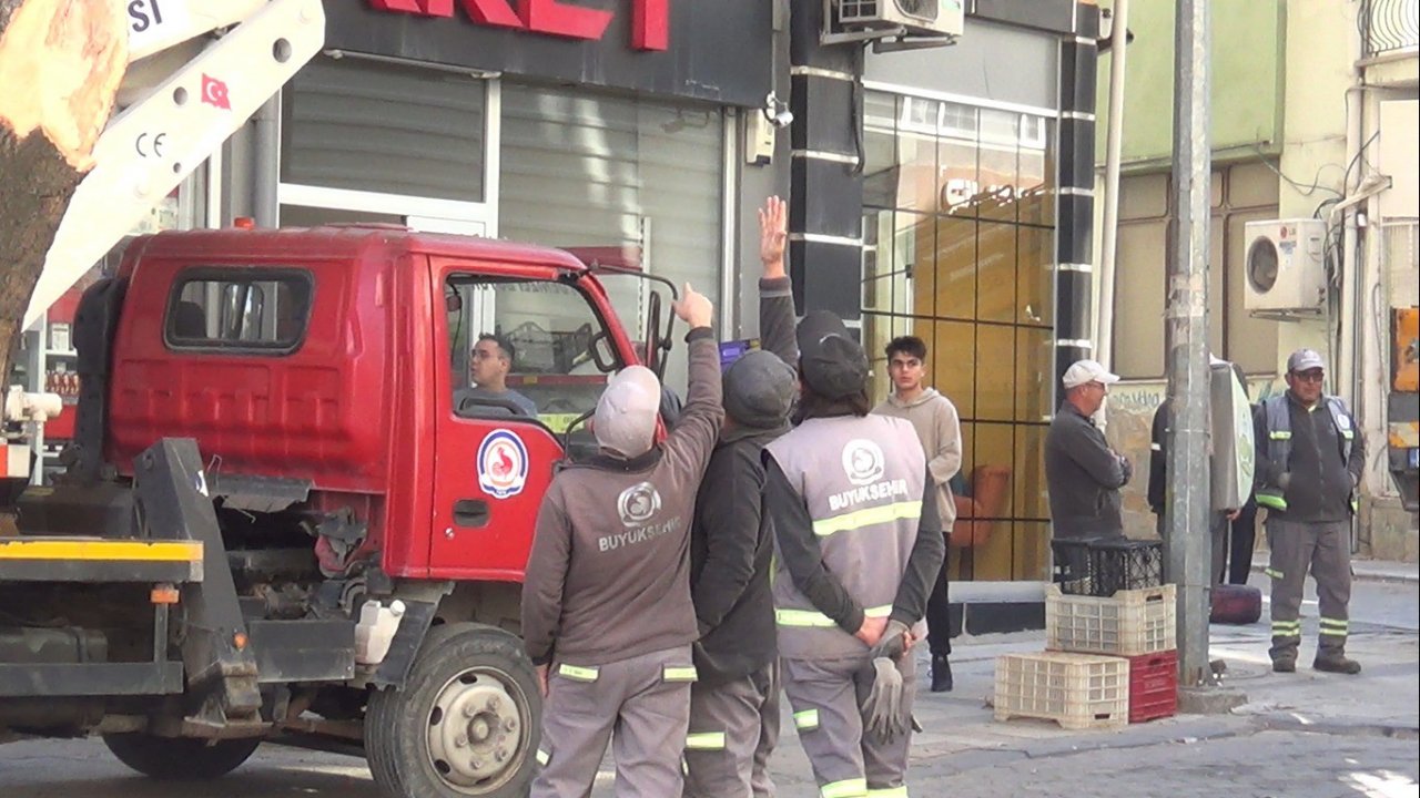 Prefabrik ev taşıyan tırın kırdığı ağaç 2 araca zarar verdi