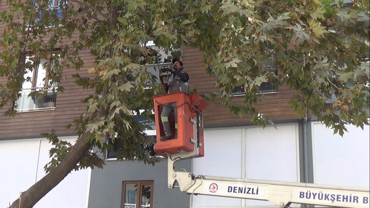 Prefabrik ev taşıyan tırın kırdığı ağaç 2 araca zarar verdi