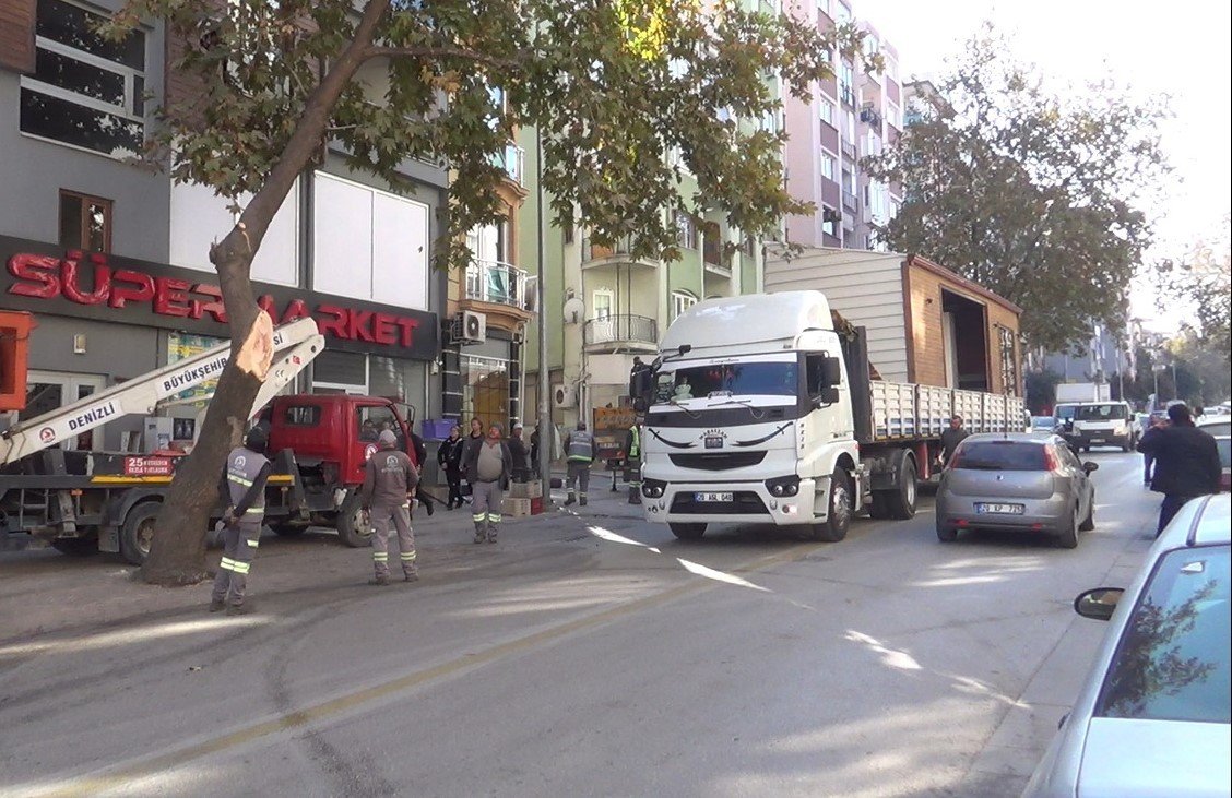 Prefabrik ev taşıyan tırın kırdığı ağaç 2 araca zarar verdi