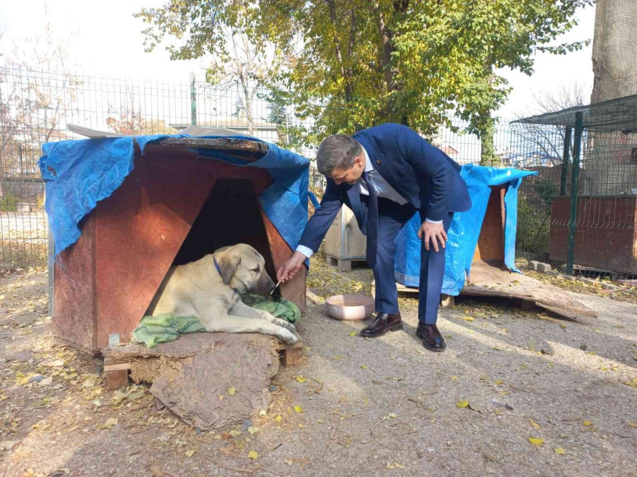 Gazi Üniversitesi Rektörü Yıldız, Gazi’nin Patileri’ni besledi