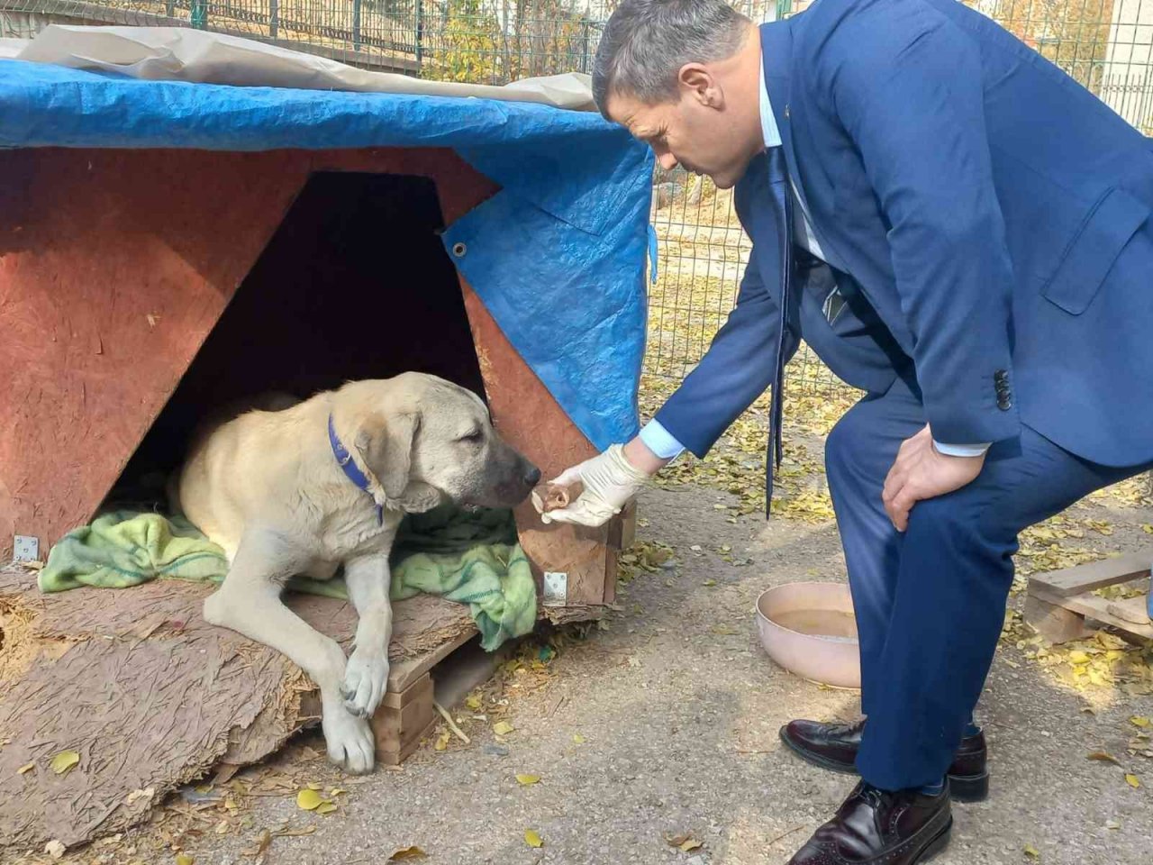 Gazi Üniversitesi Rektörü Yıldız, Gazi’nin Patileri’ni besledi