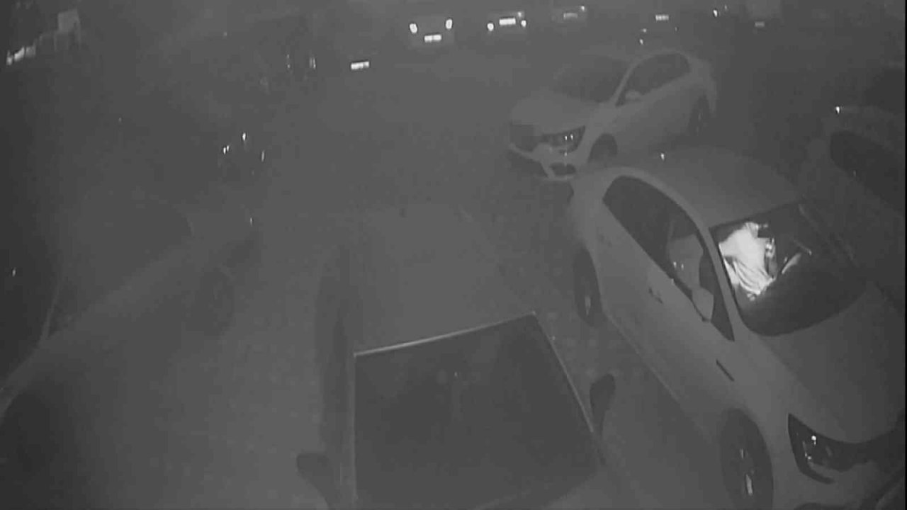 Profesyonel "hırsız" yakalandı