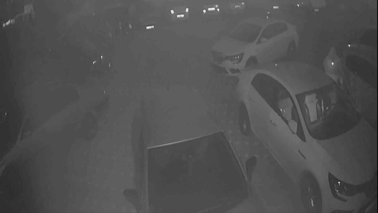 Profesyonel "hırsız" yakalandı