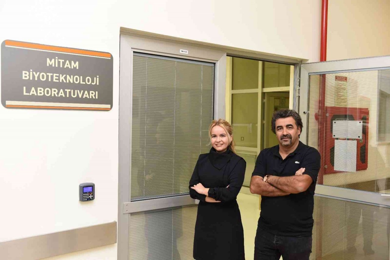 İncirin raf ömrü, soğan kabuğu ile uzatılacak