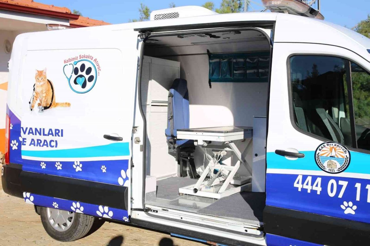 Kaş Belediyesi Sokak Hayvanları Müdahale aracı hizmette
