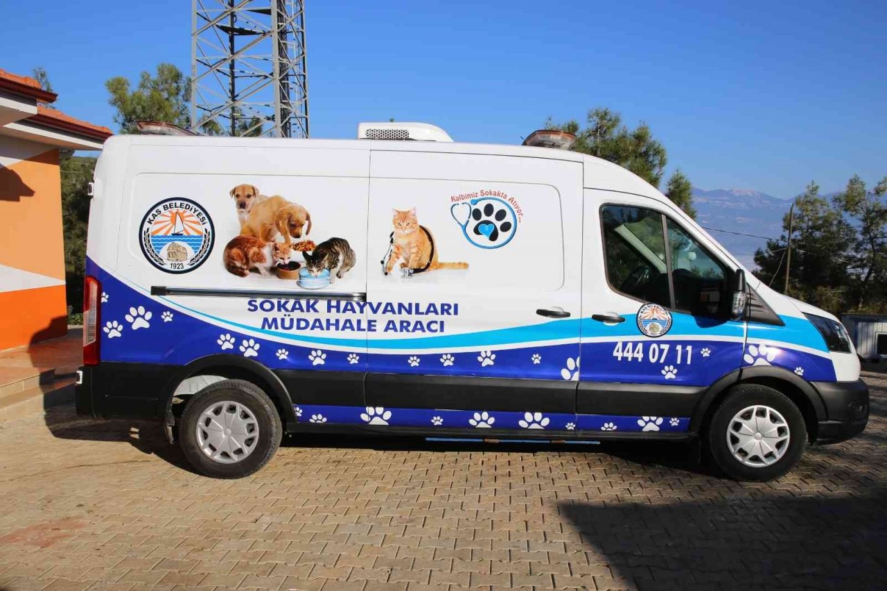 Kaş Belediyesi Sokak Hayvanları Müdahale aracı hizmette