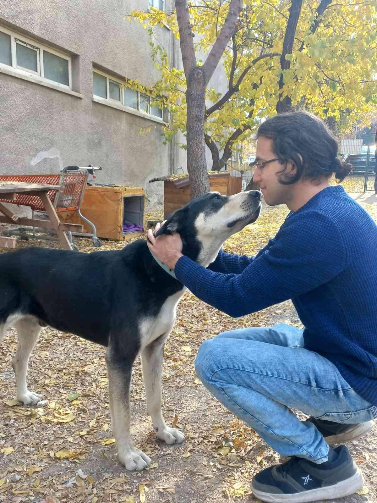 Gazi Üniversitesi Rektörü Yıldız, Gazi’nin Patileri’ni besledi