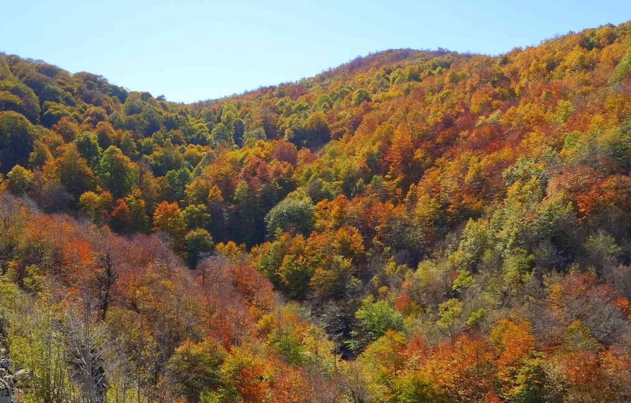 Dumanlı Yaylası’nın hayran bırakan sonbahar manzarası