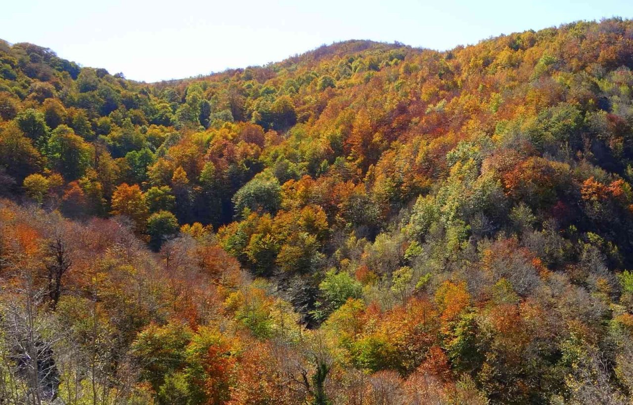 Dumanlı Yaylası’nın hayran bırakan sonbahar manzarası