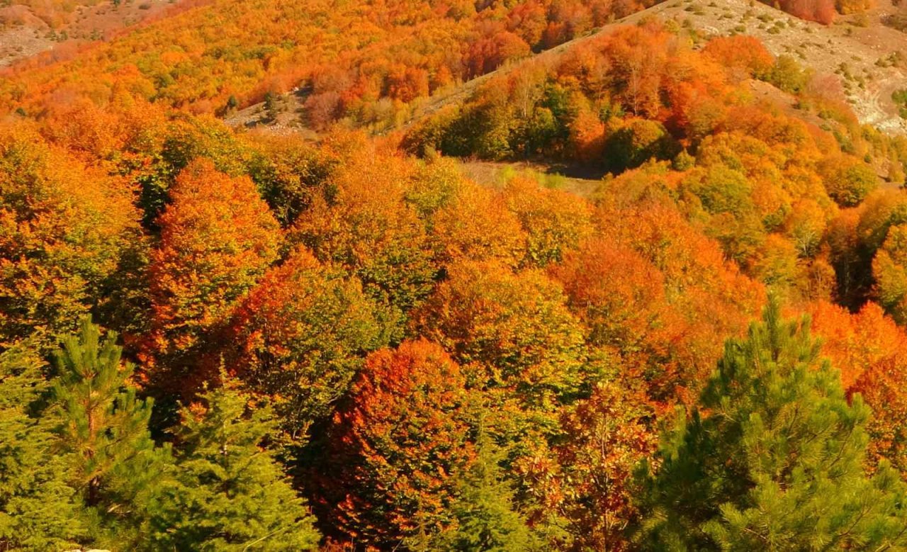 Dumanlı Yaylası’nın hayran bırakan sonbahar manzarası