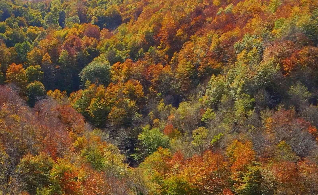 Dumanlı Yaylası’nın hayran bırakan sonbahar manzarası