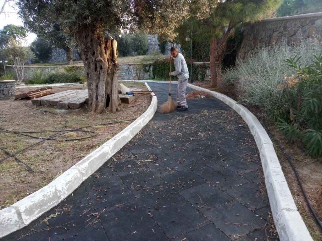 Bodrum Belediyesi ağaç budama çalışmalarını sürdürüyor