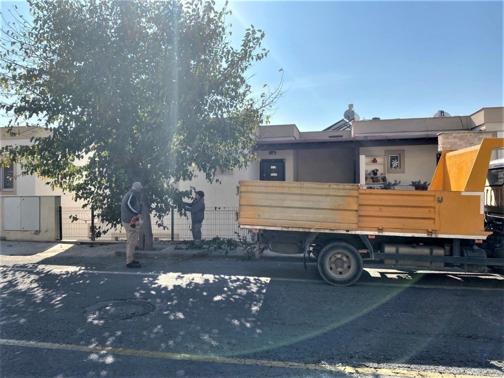 Bodrum Belediyesi ağaç budama çalışmalarını sürdürüyor