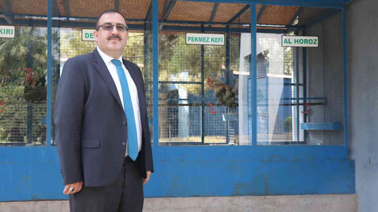 Evcil hayvanlarda mikroçip süresi daralıyor