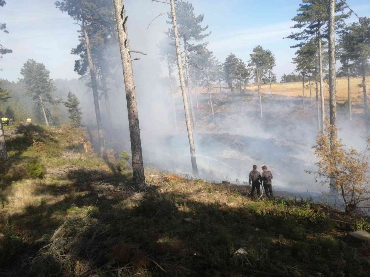 Sonbaharda çıkan orman yangını büyümeden söndürüldü