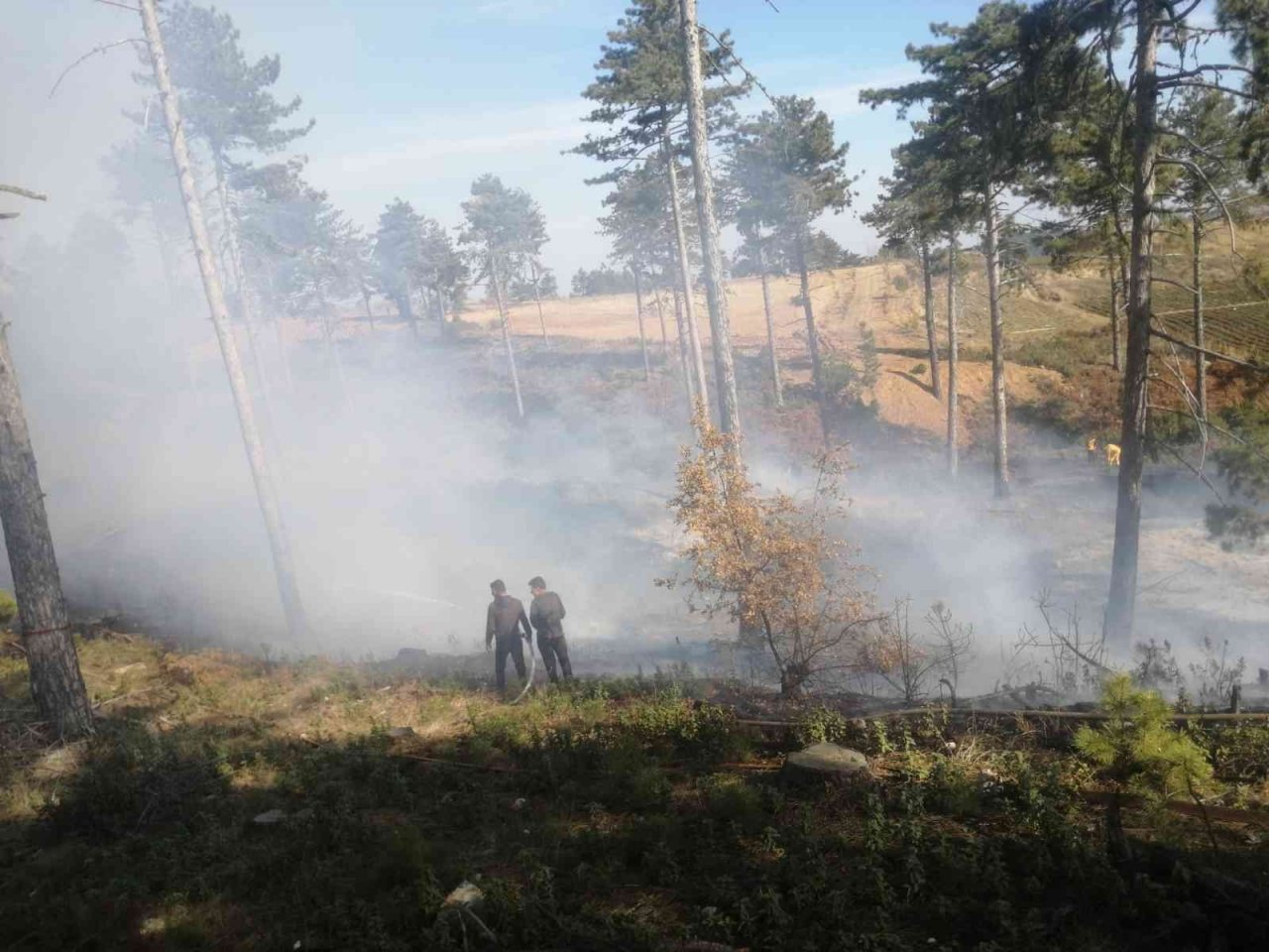 Sonbaharda çıkan orman yangını büyümeden söndürüldü