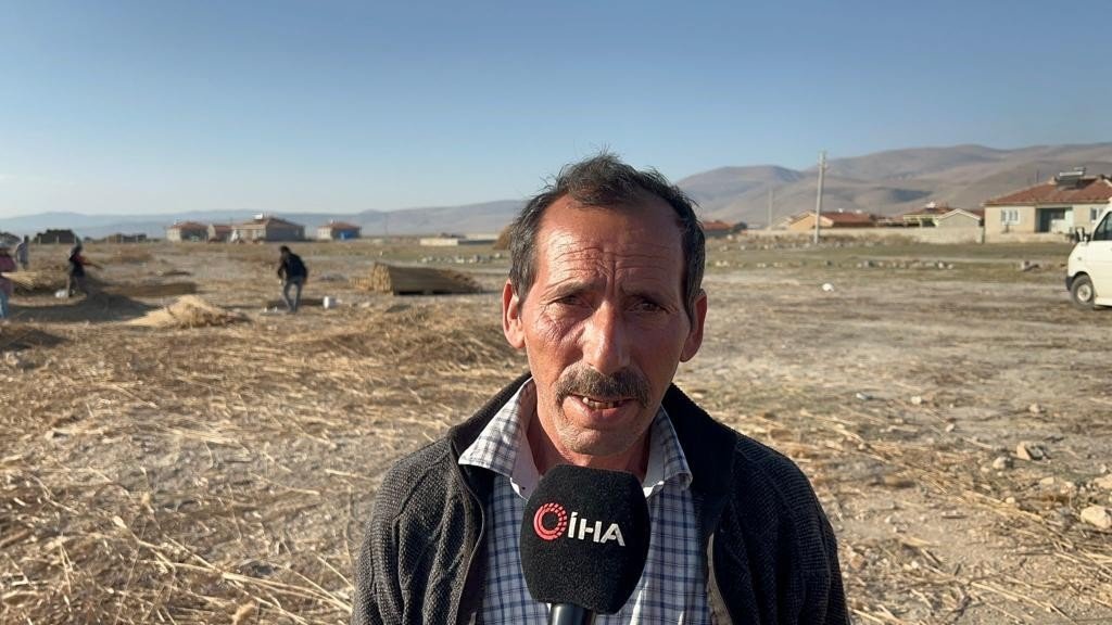 5 aylık kamış sezonunda 1 milyon dolarlık ihracat yapıyorlar