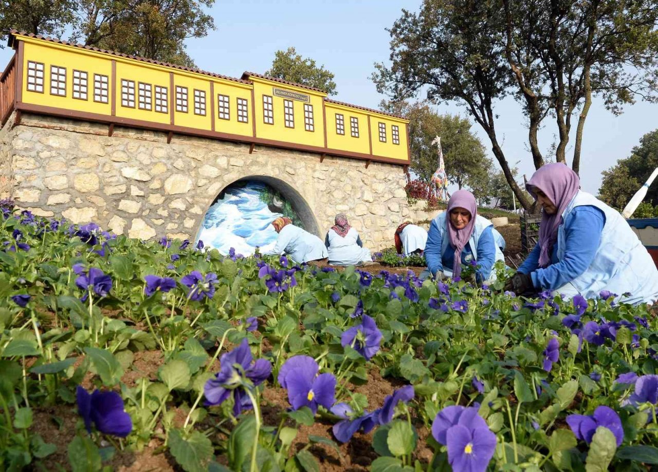 Macera Bursa kış çiçekleriyle yenileniyor