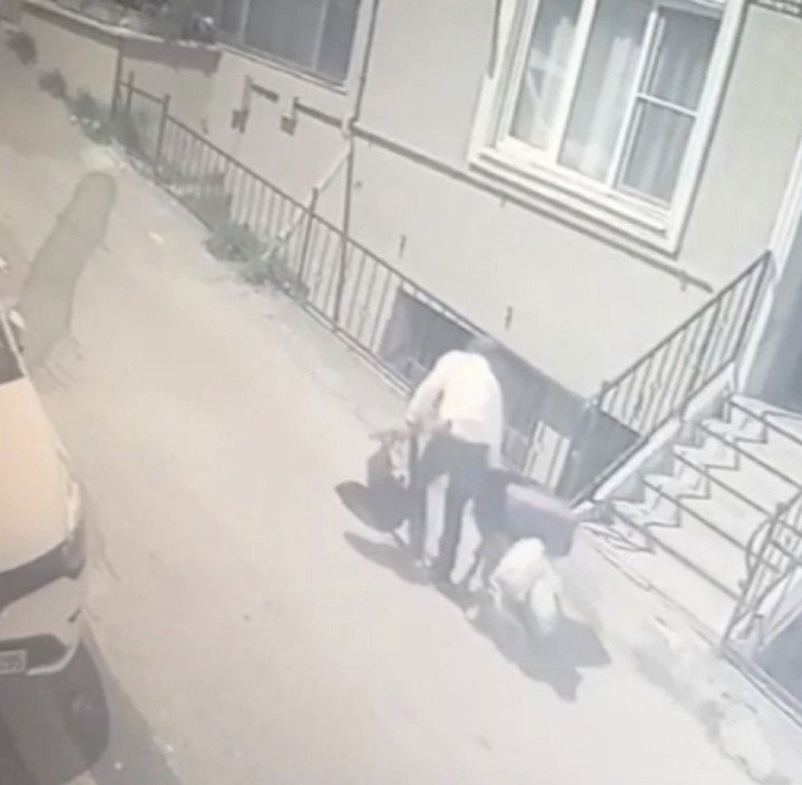 Binadaki tüm ayakkabıları pazar arabasına doldurdu