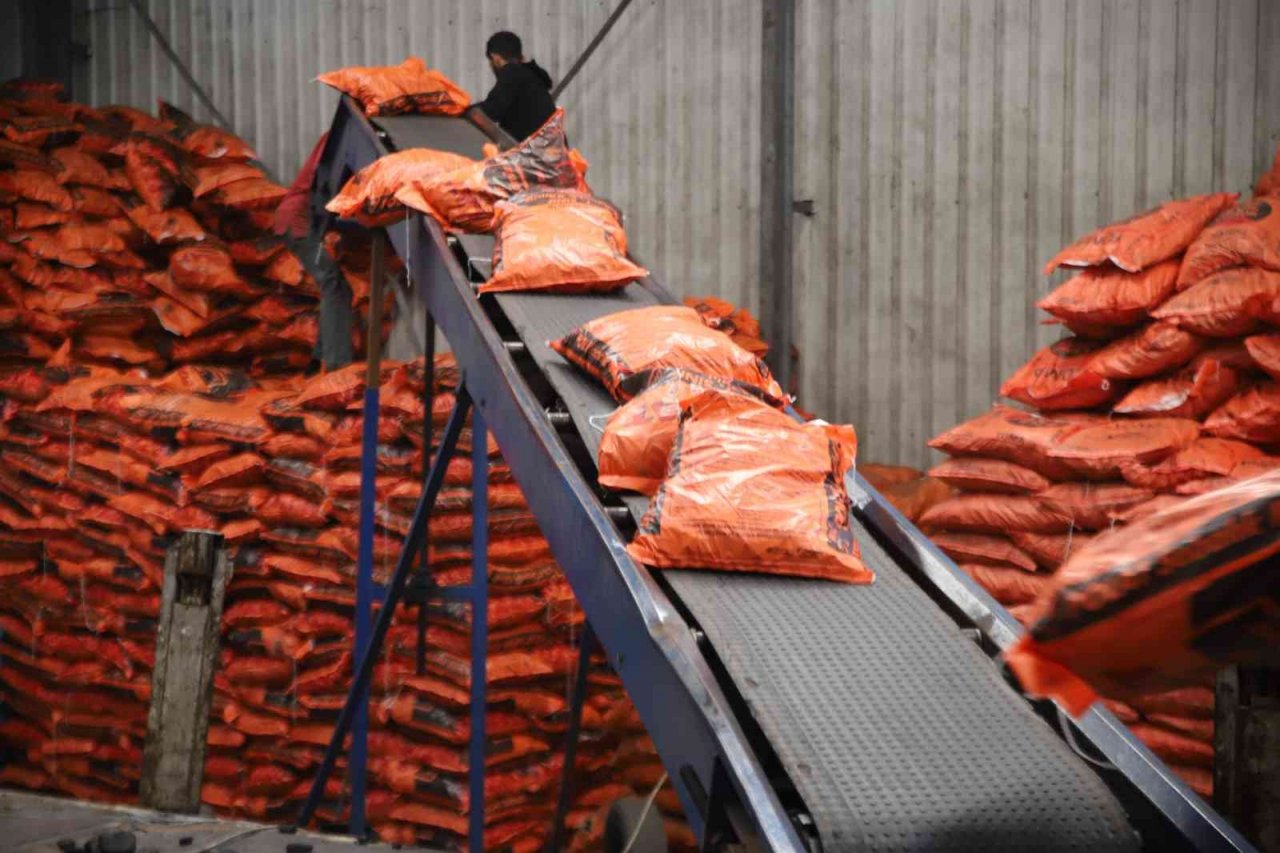 Avrupa enerji bulamamaktan yakınırken, Türkiye’de doğal gaz ve kömüre erişim konusunda sıkıntı yaşanmıyor