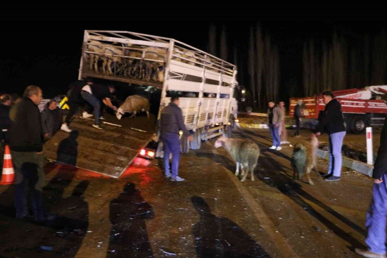 Canlı hayvan yüklü kamyonetle çarpışan otomobilde 2 kişi yaralandı