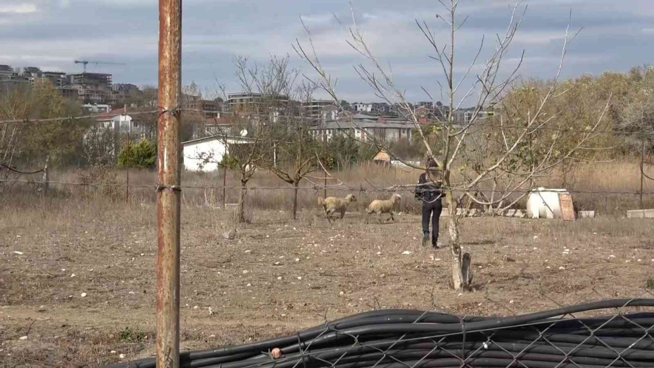 Bursa’da ormanlık alanda korkutan yangın havadan görüntülendi