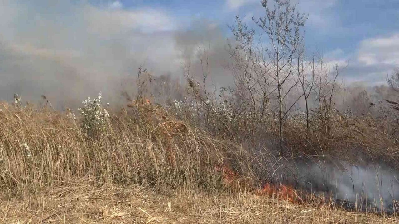 Bursa’da ormanlık alanda korkutan yangın havadan görüntülendi