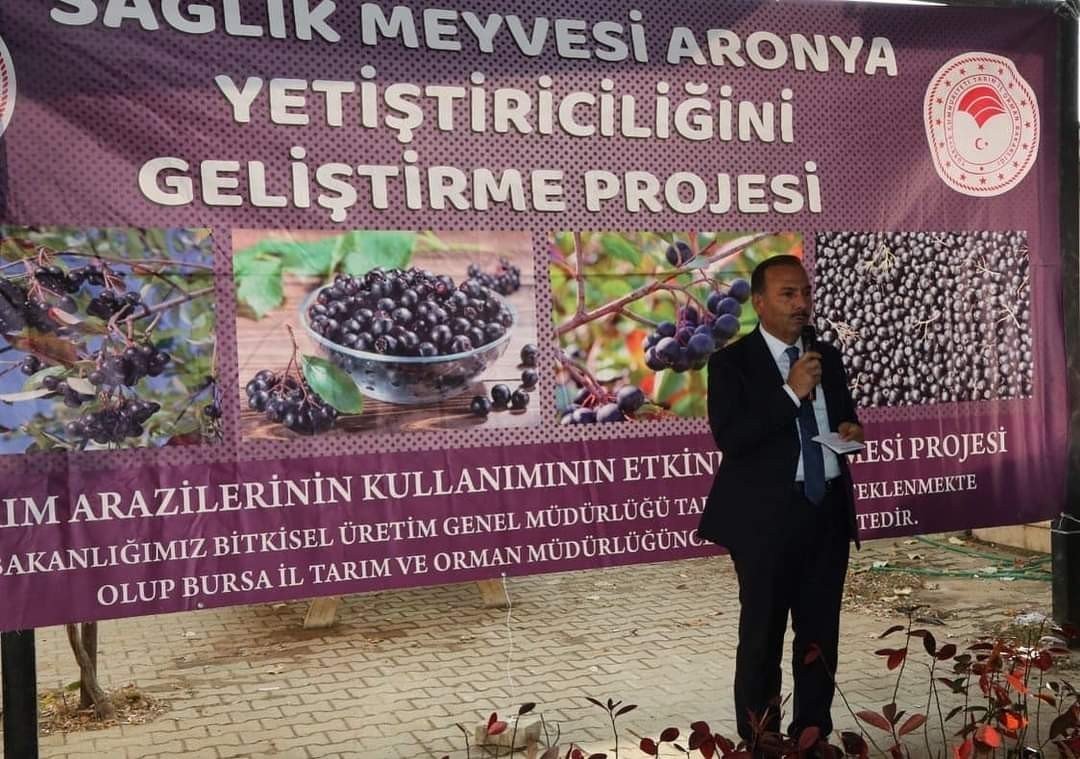 İznik’in bereketi, sağlık meyvesi aronya ile buluşuyor