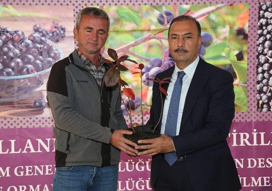 İznik’in bereketi, sağlık meyvesi aronya ile buluşuyor