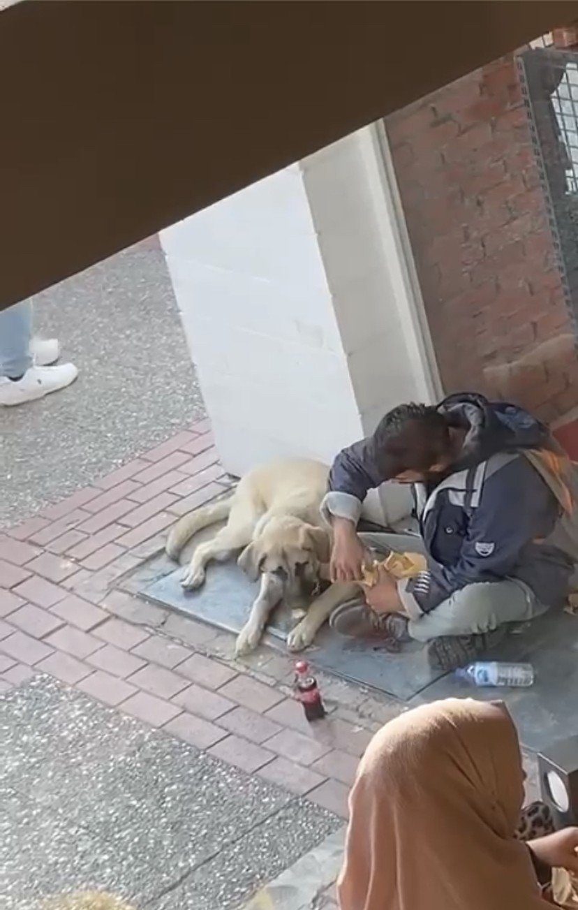 Yemeğini sokak köpeği ile paylaştı, sosyal medyada viral oldu