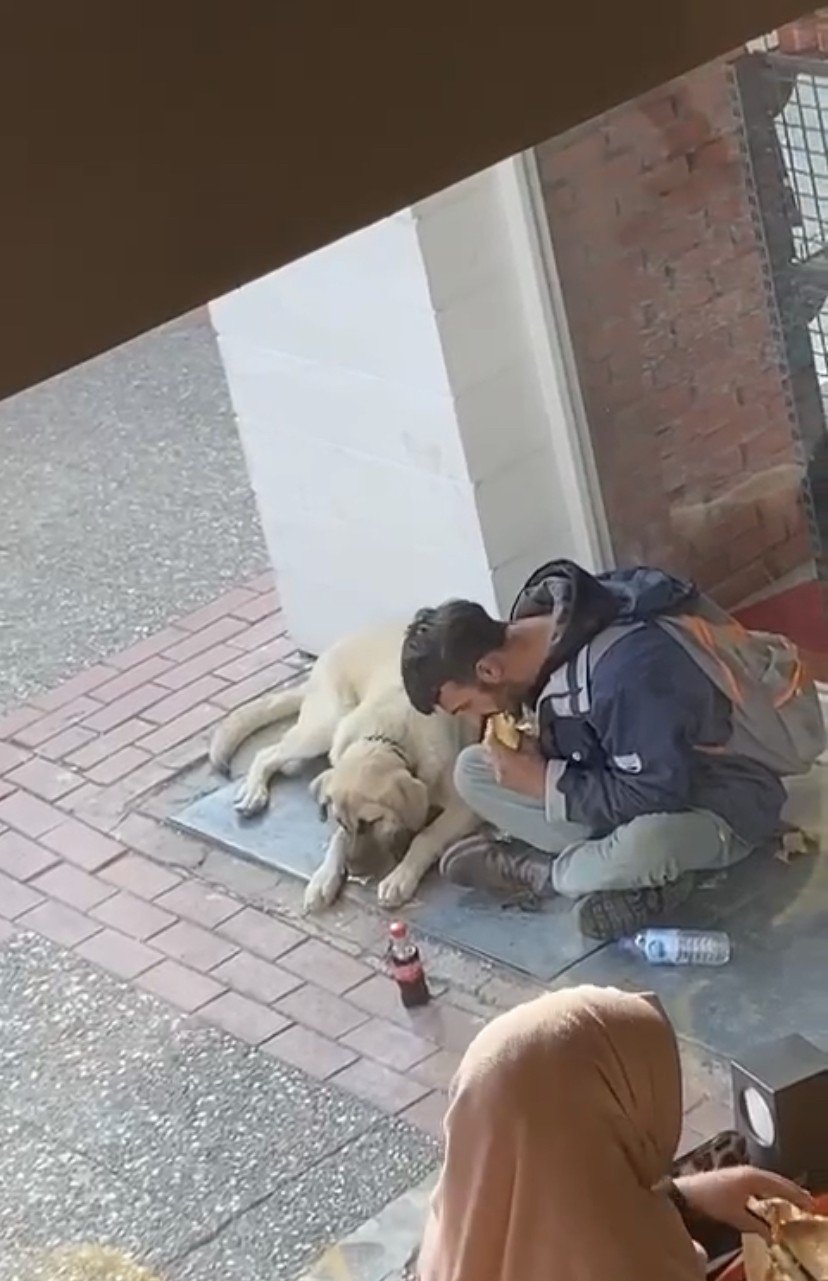 Yemeğini sokak köpeği ile paylaştı, sosyal medyada viral oldu