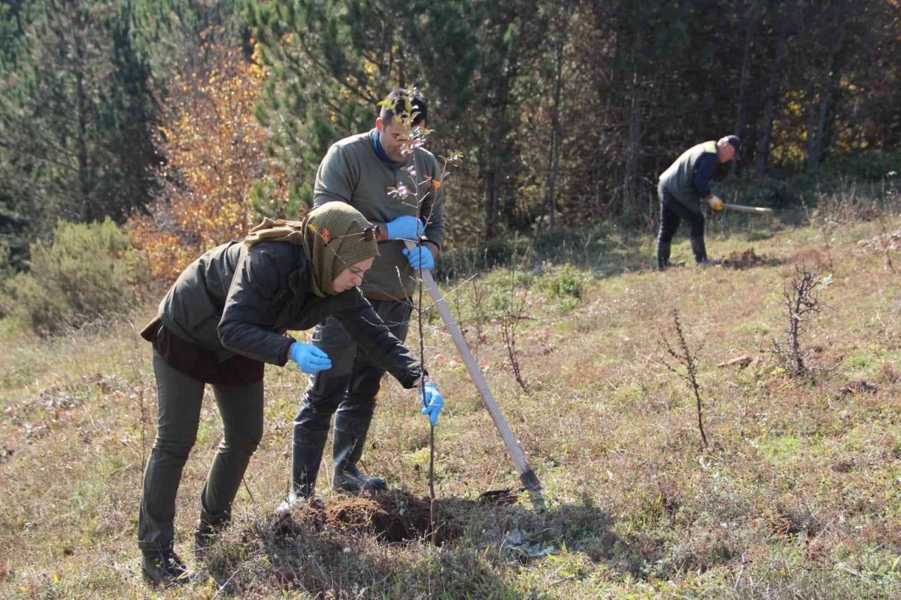 Yaban hayvanları için 175 fidan dikildi