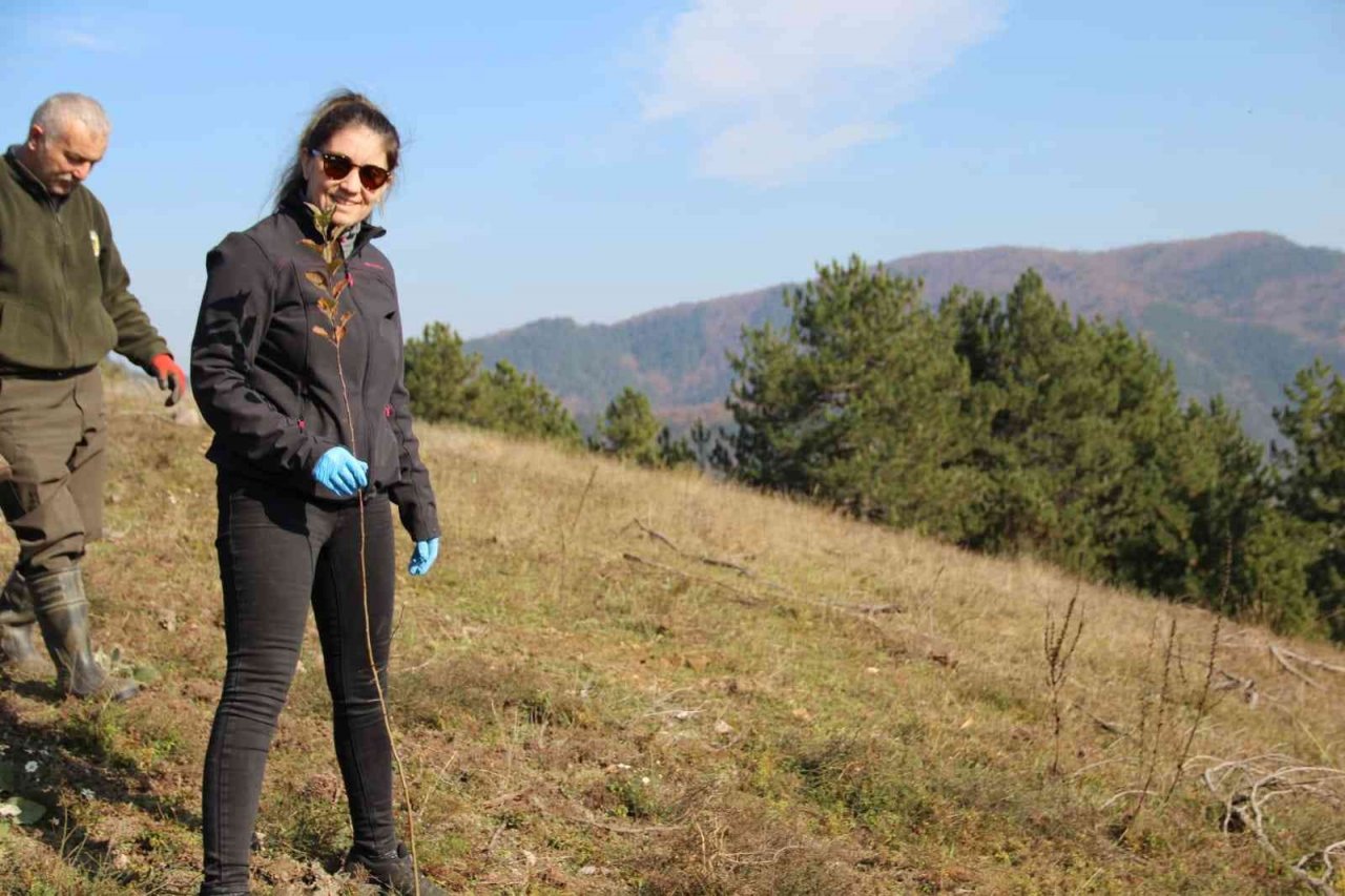 Yaban hayvanları için 175 fidan dikildi