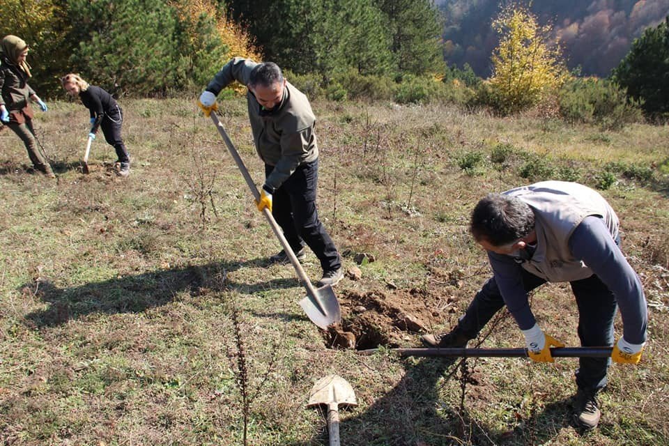 Yaban hayvanları için 175 fidan dikildi